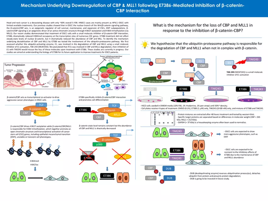 Mechanism Underlying Downregulation of CBP & MLL1 - Page 1