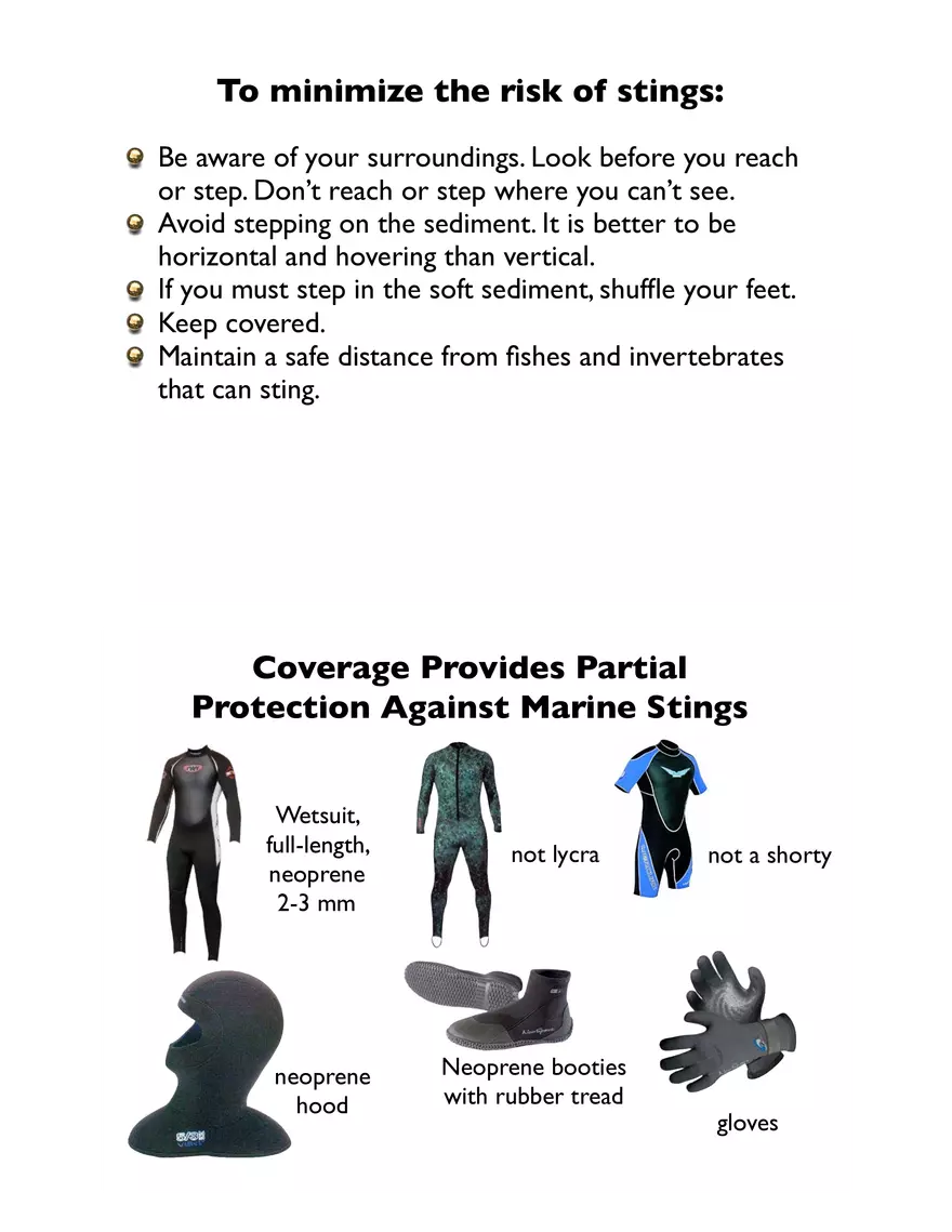 Potentially Hazardous Fauna and Flora of Calabash Caye - Page 3