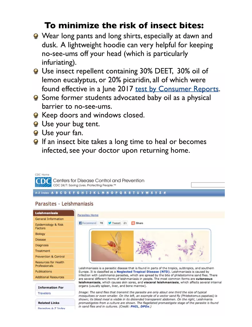 Potentially Hazardous Fauna and Flora of Calabash Caye - Page 5