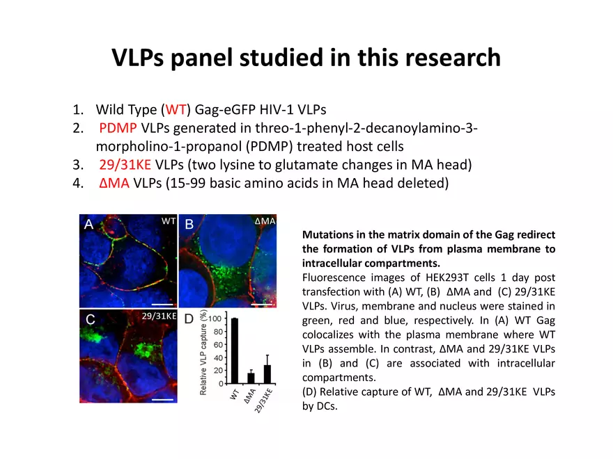 Quantifying Lipid Contents in Enveloped Virus Particles with Plasmonic Nanoparticles - Page 8