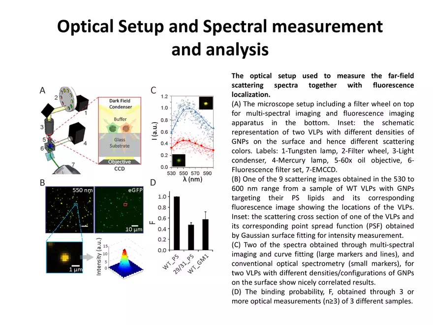 Quantifying Lipid Contents in Enveloped Virus Particles with Plasmonic Nanoparticles - Page 10