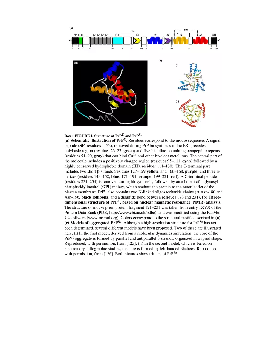 Prion Protein at the Crossroads of Physiology Box 2 - Page 8