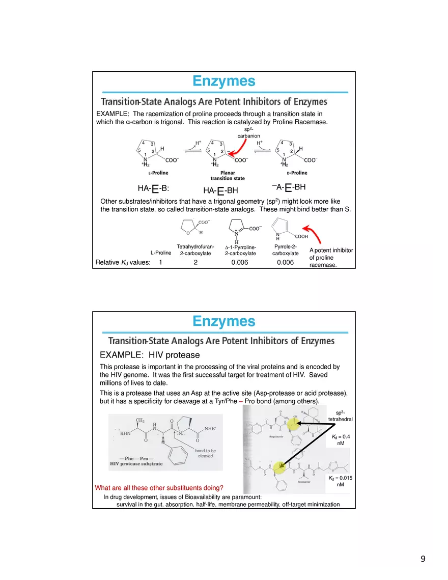 Enzymes How do Your Determine What is Going on at the Active Site - Page 9