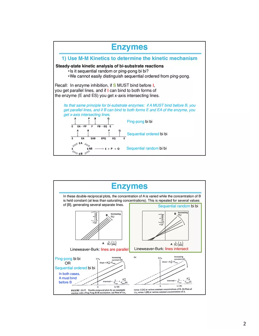 Enzymes How do Your Determine What is Going on at the Active Site - Page 2