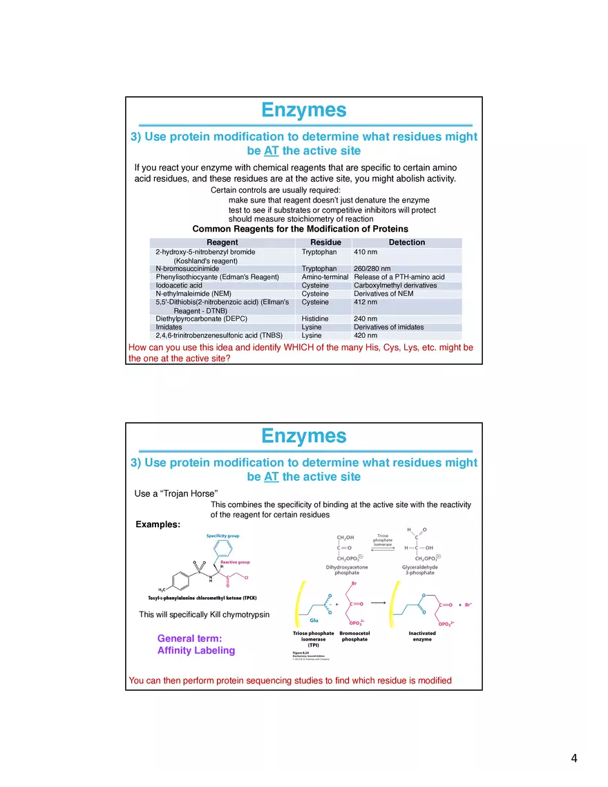 Enzymes How do Your Determine What is Going on at the Active Site - Page 4