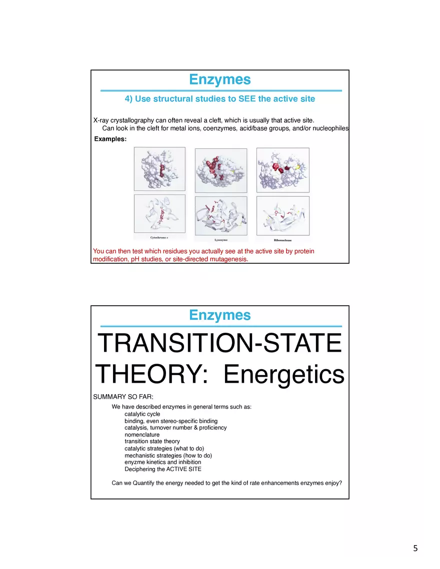 Enzymes How do Your Determine What is Going on at the Active Site - Page 5