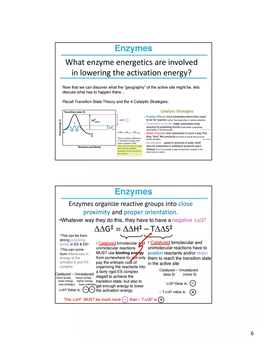 Enzymes How do Your Determine What is Going on at the Active Site - Page 6