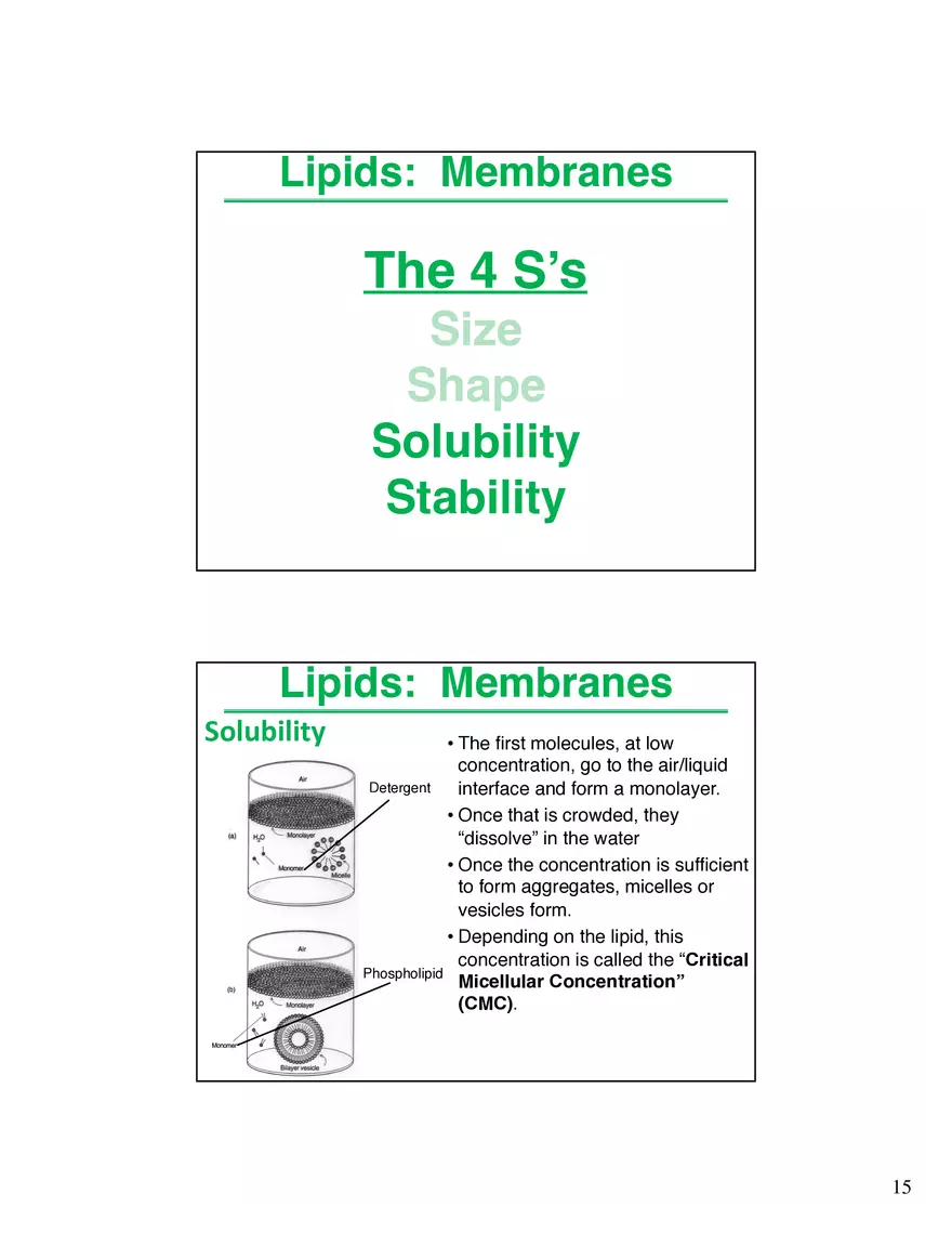 Lipids Membranes Biological Molecules That are Characterized by Low Solubility - Page 7