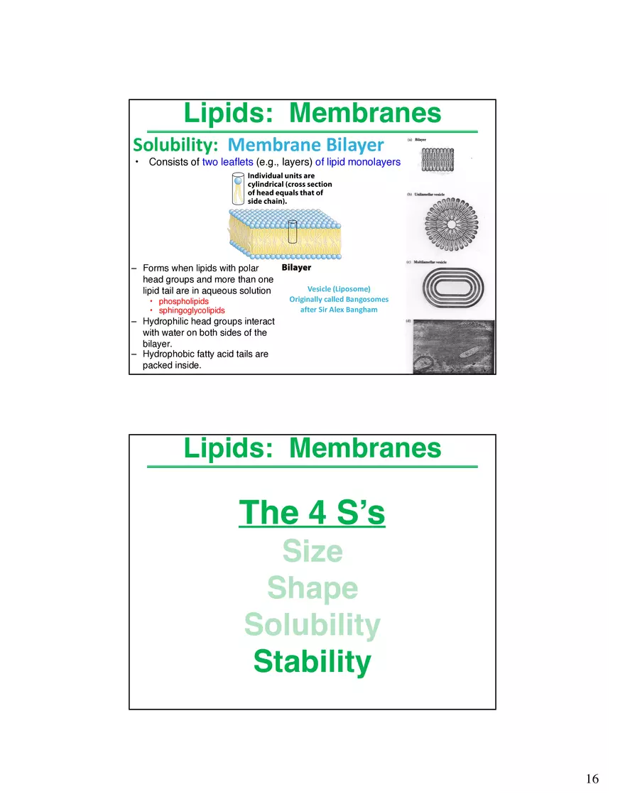 Lipids Membranes Biological Molecules That are Characterized by Low Solubility - Page 8
