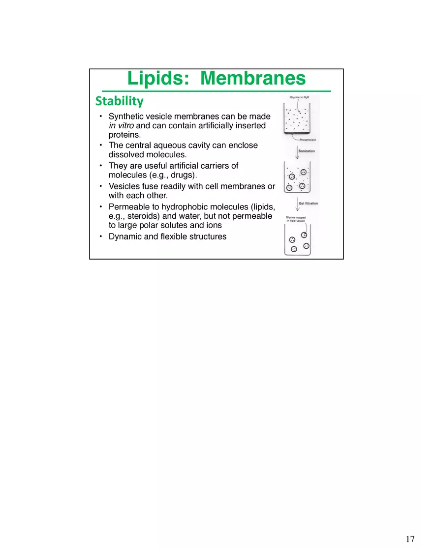 Lipids Membranes Biological Molecules That are Characterized by Low Solubility - Page 9