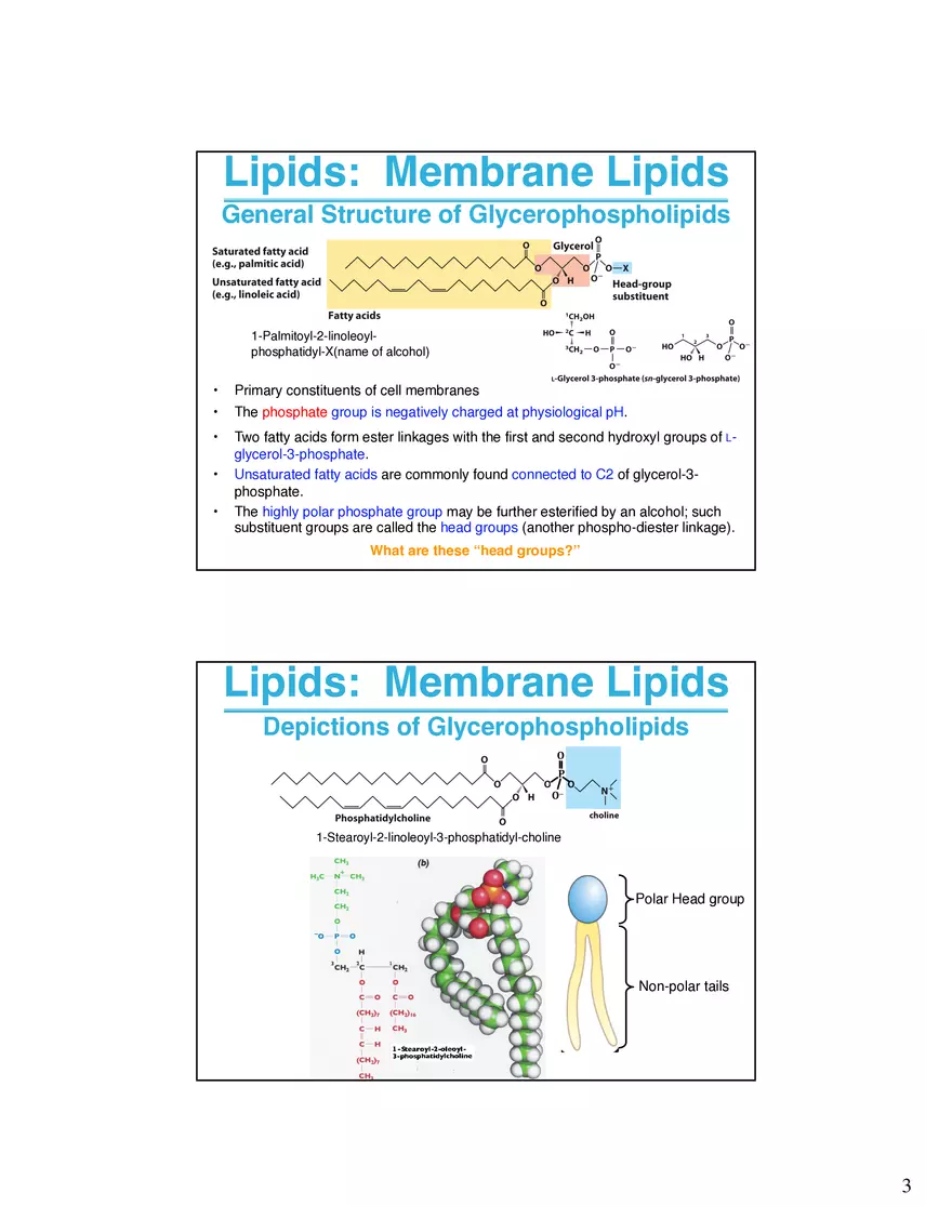 Lipids Membranes Biological Molecules That are Characterized by Low Solubility - Page 10
