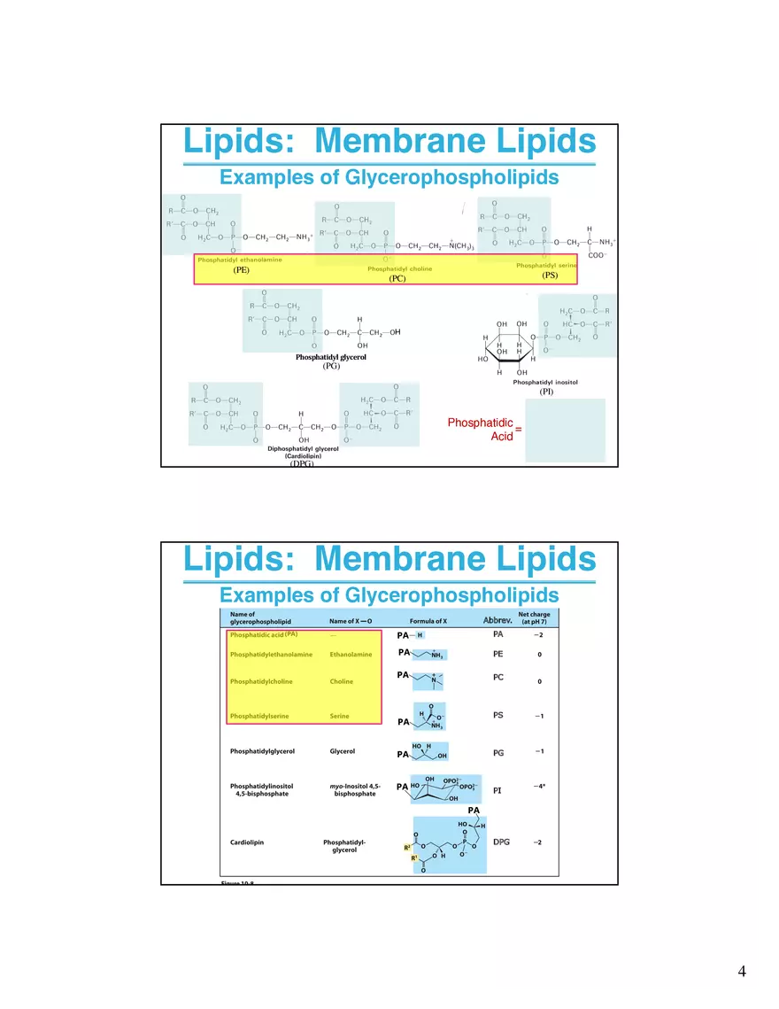 Lipids Membranes Biological Molecules That are Characterized by Low Solubility - Page 11