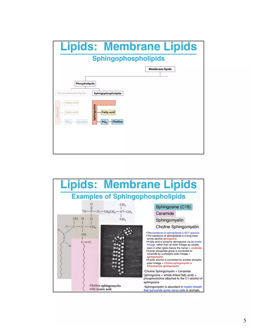 Lipids Membranes Biological Molecules That are Characterized by Low Solubility - Page 12