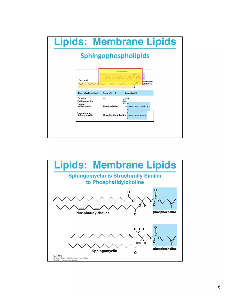 Lipids Membranes Biological Molecules That are Characterized by Low Solubility - Page 13