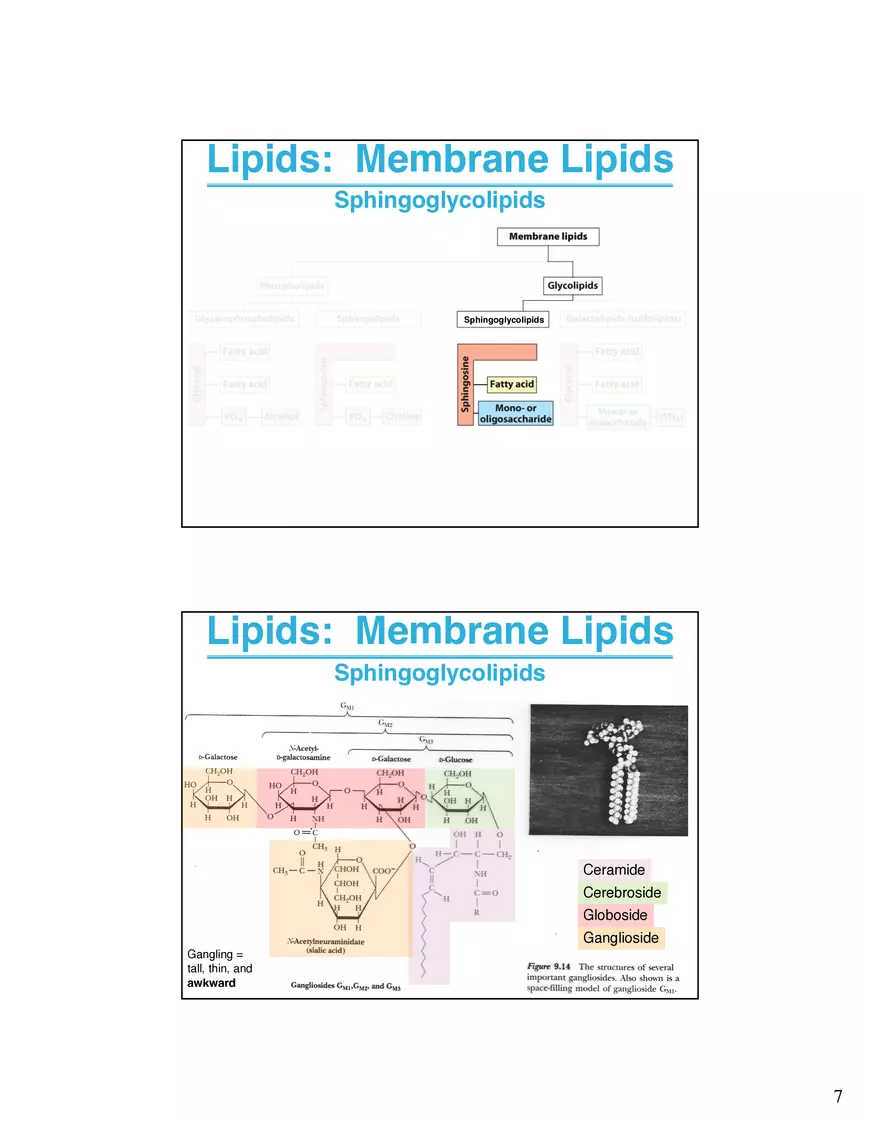 Lipids Membranes Biological Molecules That are Characterized by Low Solubility - Page 14