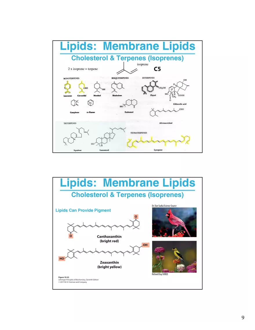 Lipids Membranes Biological Molecules That are Characterized by Low Solubility - Page 16