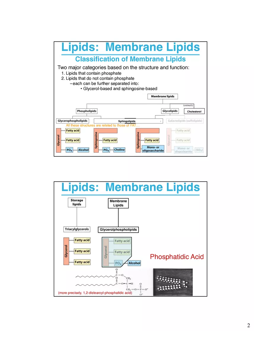 Lipids Membranes Biological Molecules That are Characterized by Low Solubility - Page 2