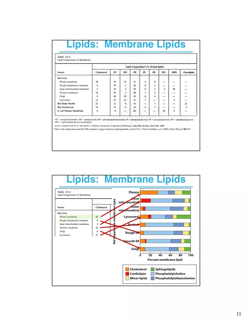 Lipids Membranes Biological Molecules That are Characterized by Low Solubility - Page 3