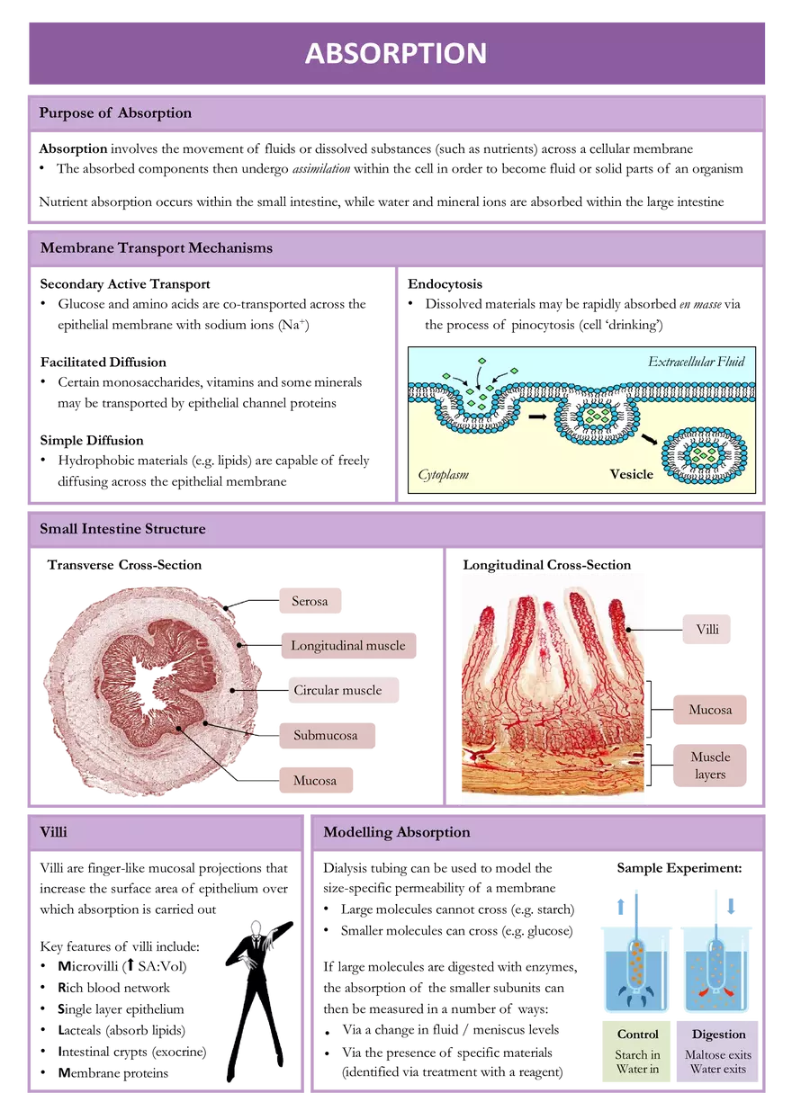 Absorption - Lecture 1 - Page 1
