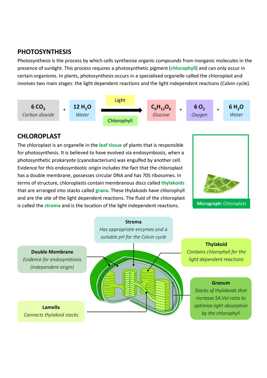 An Introduction to Photosynthesis - Page 1