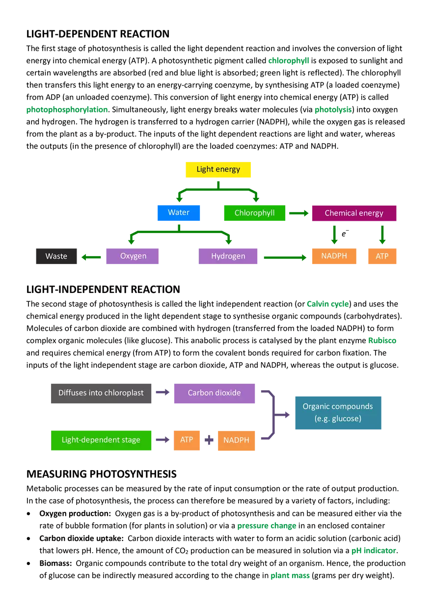 An Introduction to Photosynthesis - Page 2