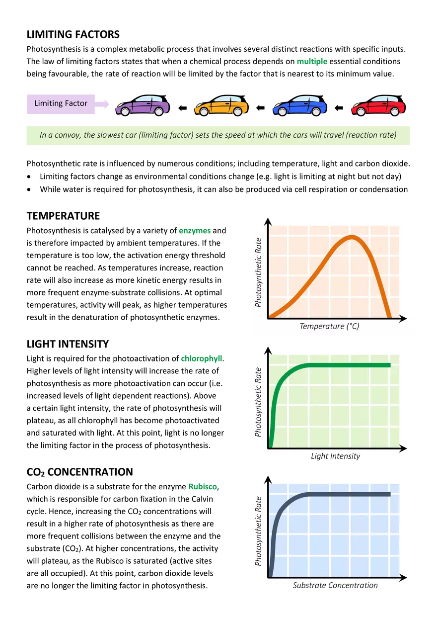 An Introduction to Photosynthesis - Page 4