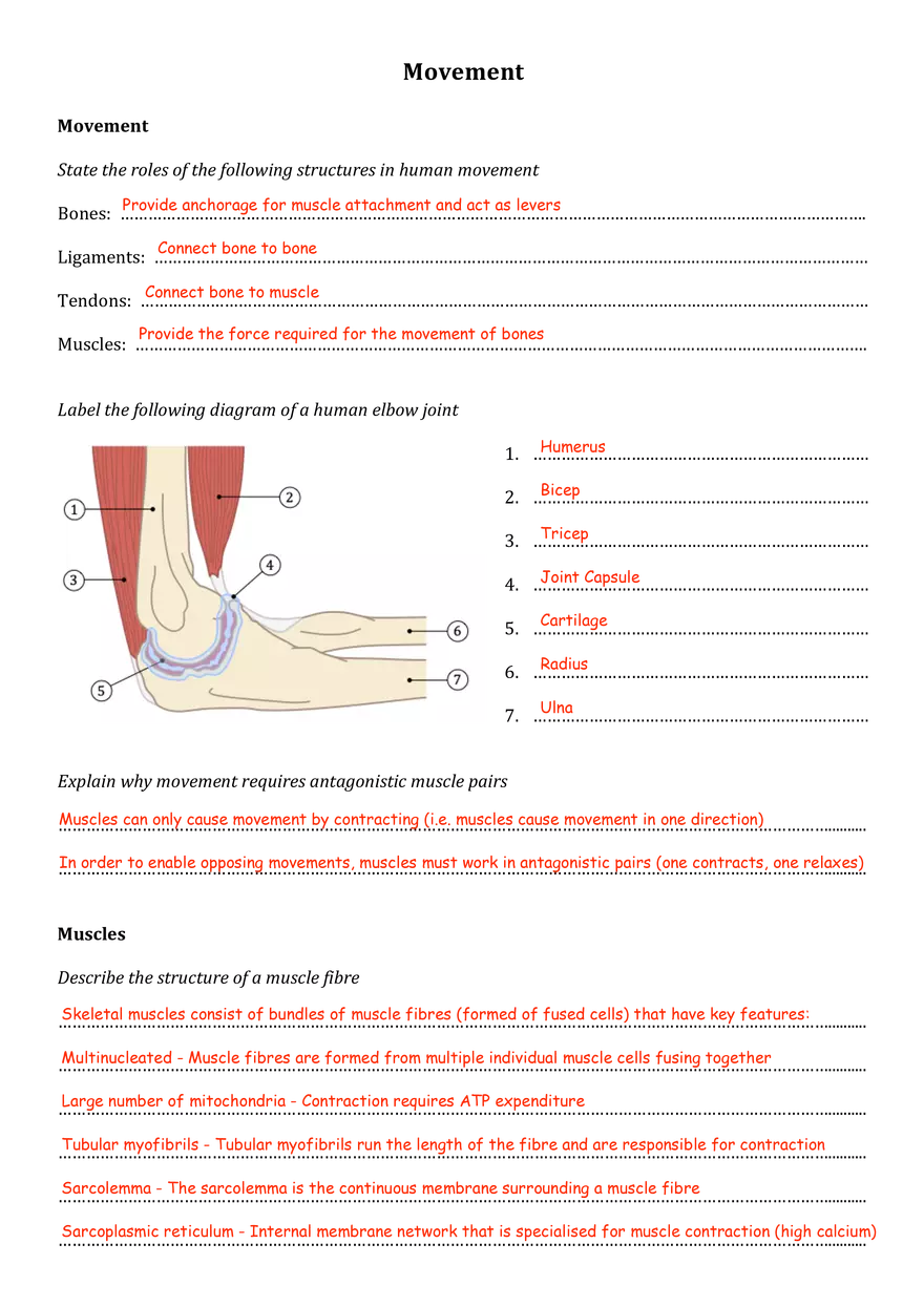 Movement - Page 1