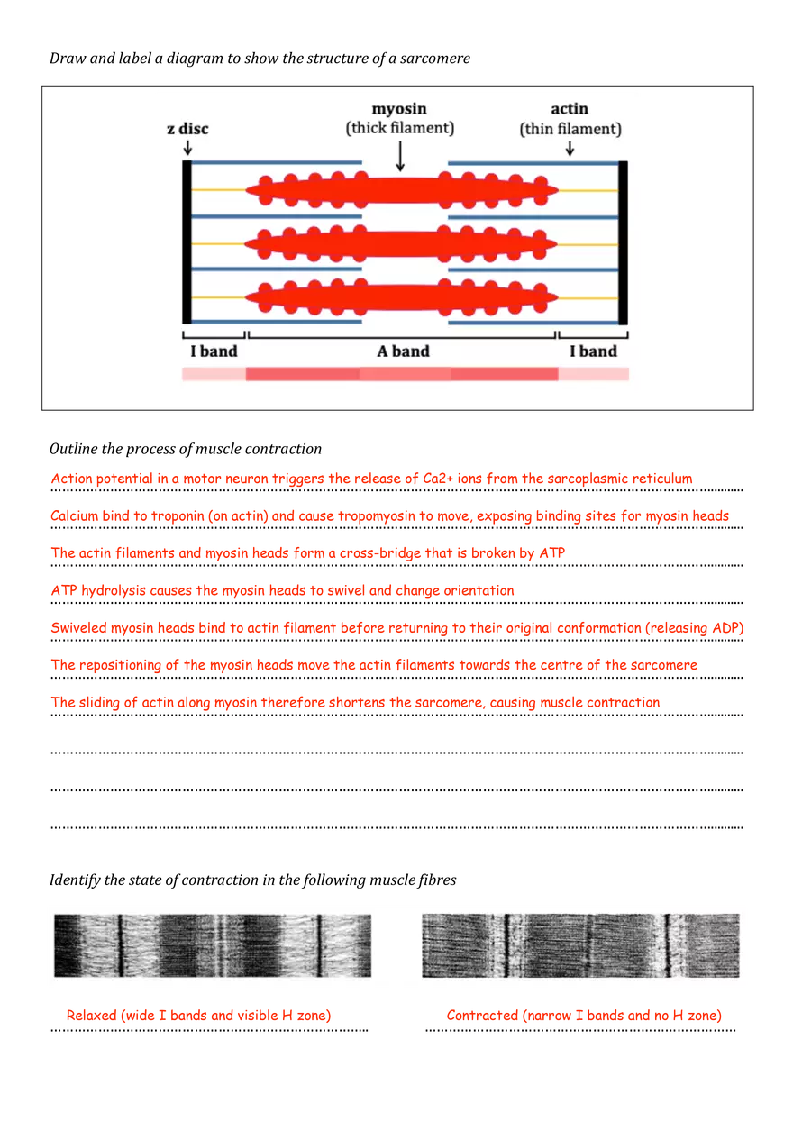 Movement - Page 2