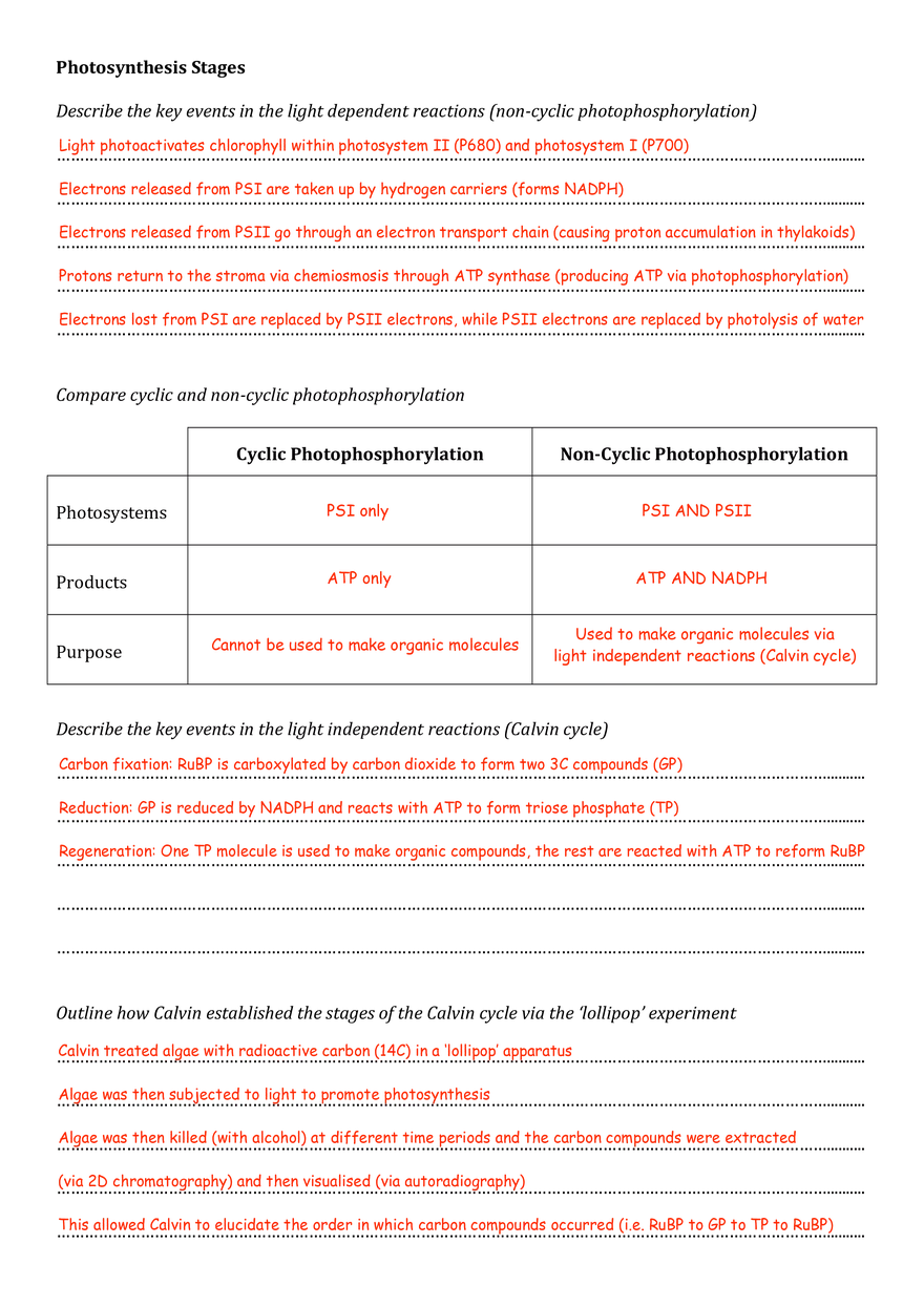 Photosynthesis Answer Key Part 2 - Page 2