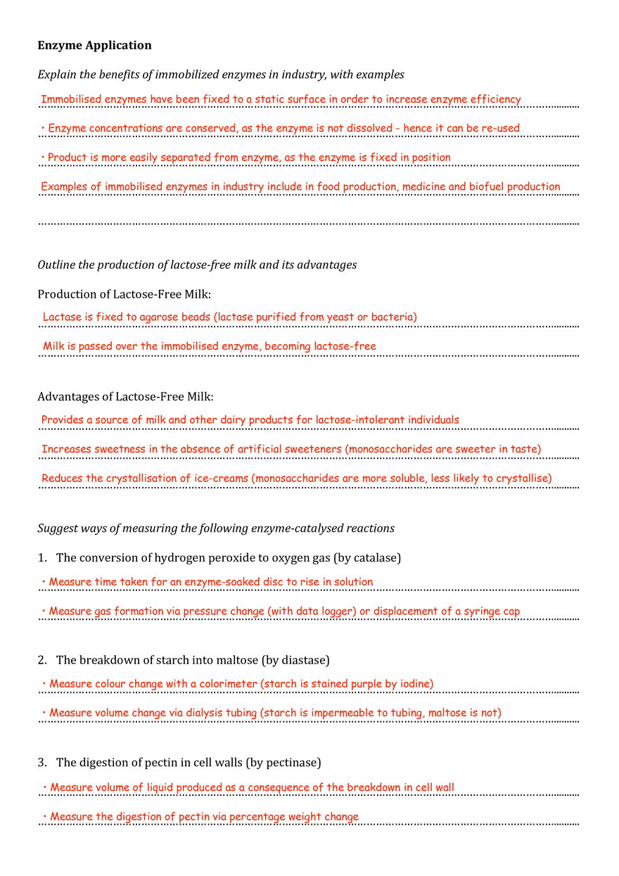 Enzymes Worksheet (Answers) - Page 3