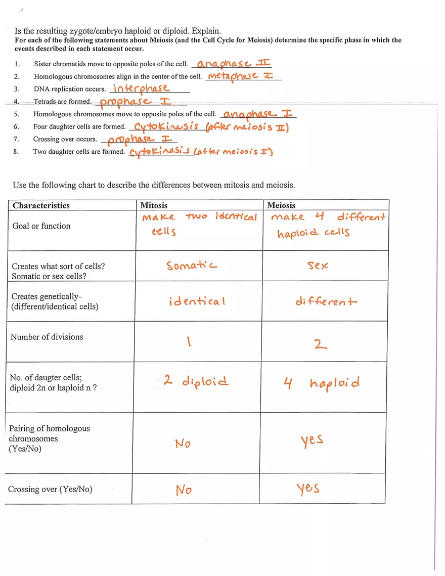 Meiosis Study Guide Answers What is the Purpose of Meiosis - Page 3