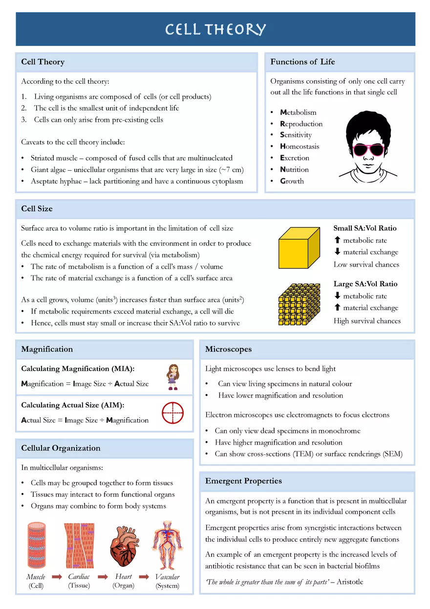 Cell Theory Lecture Note - Page 1