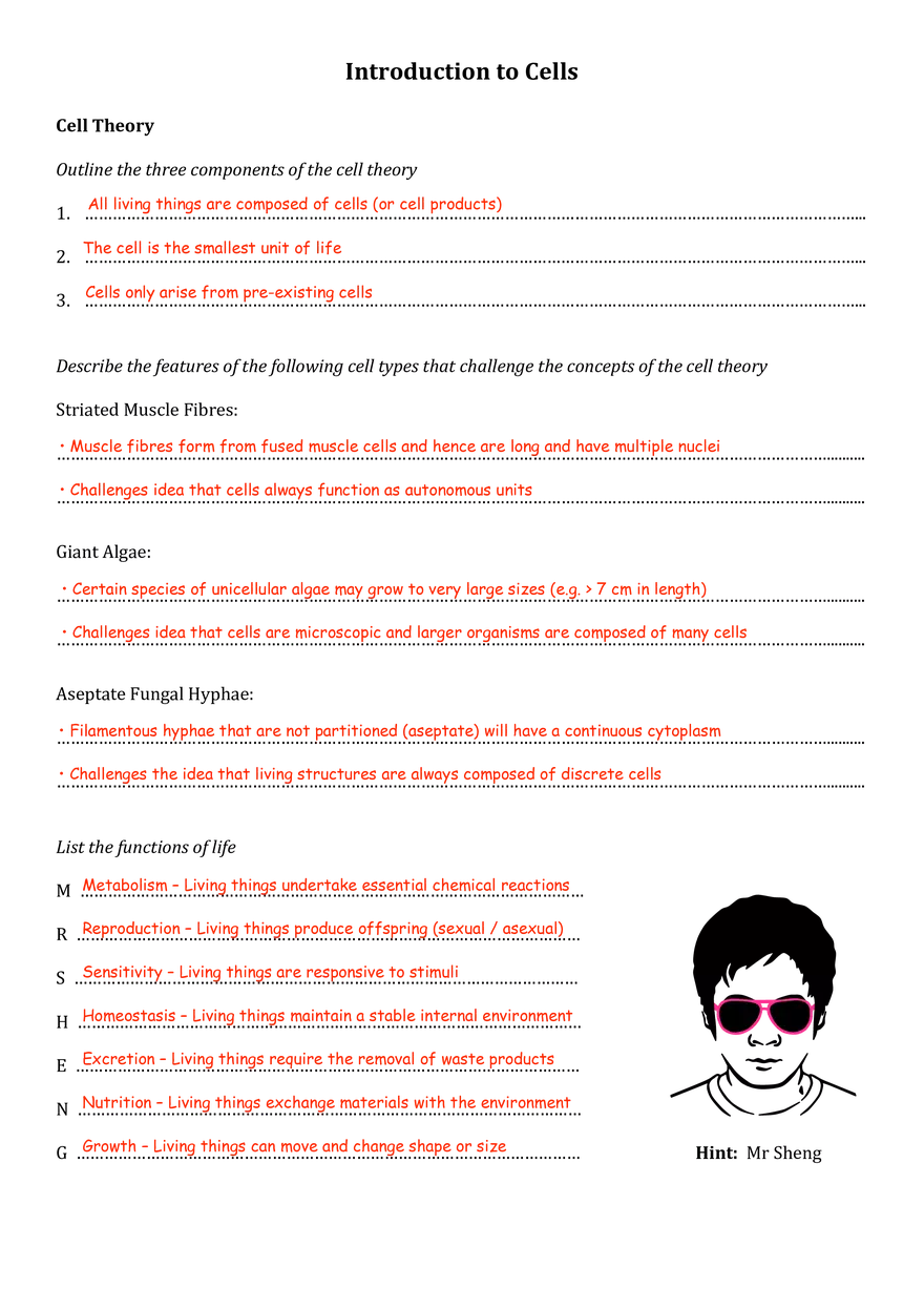 Introduction to Cells Assignment - Page 1