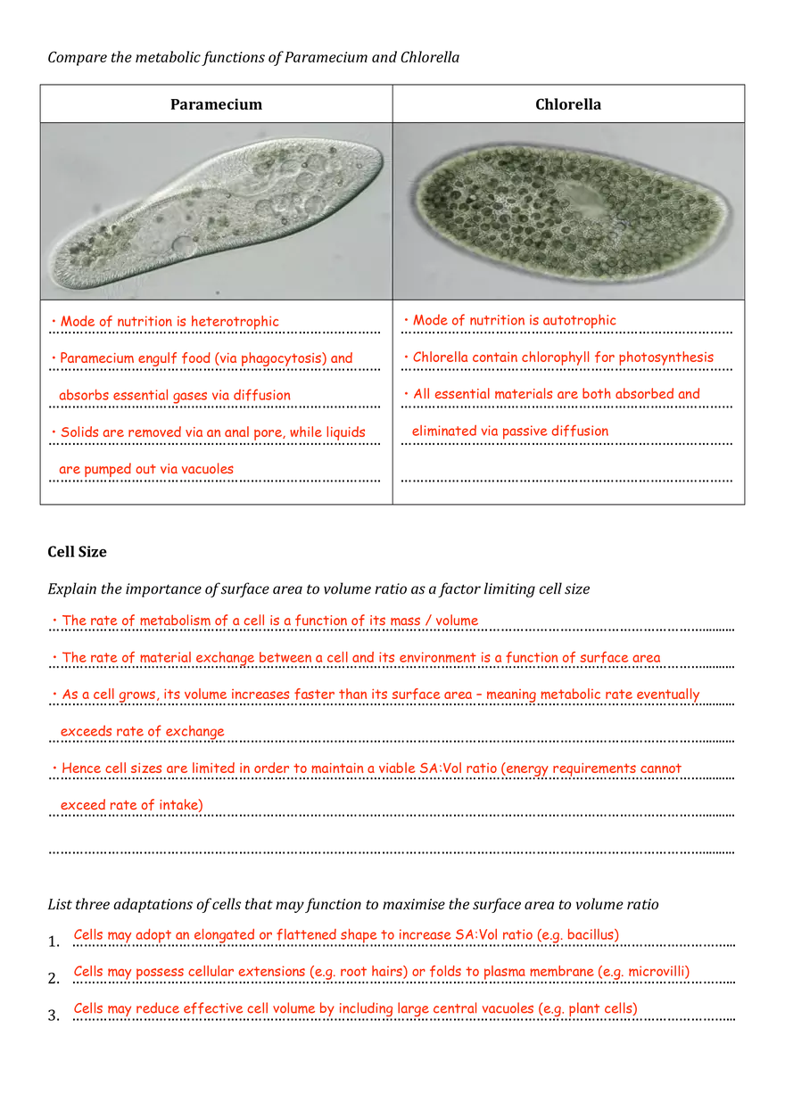 Introduction to Cells Assignment - Page 2