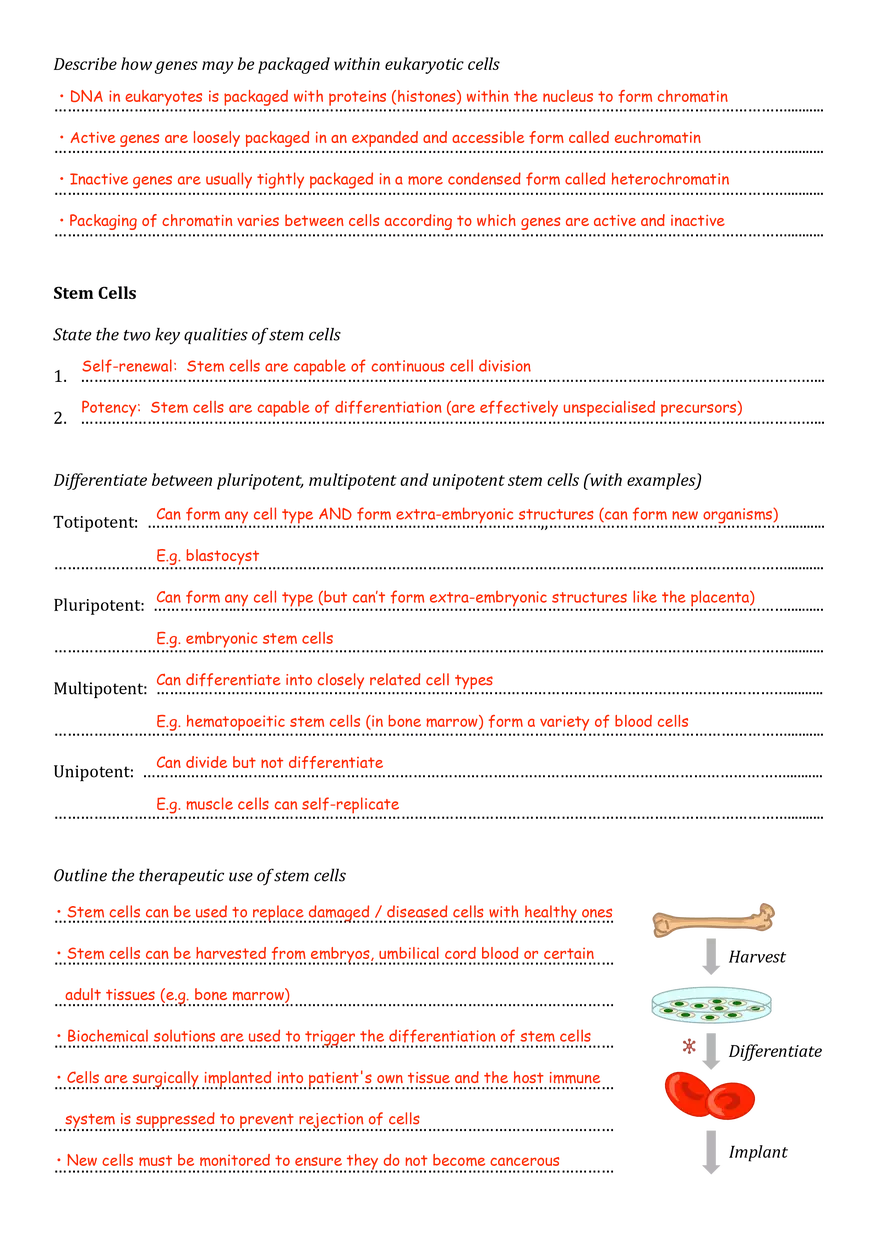 Introduction to Cells Assignment - Page 5