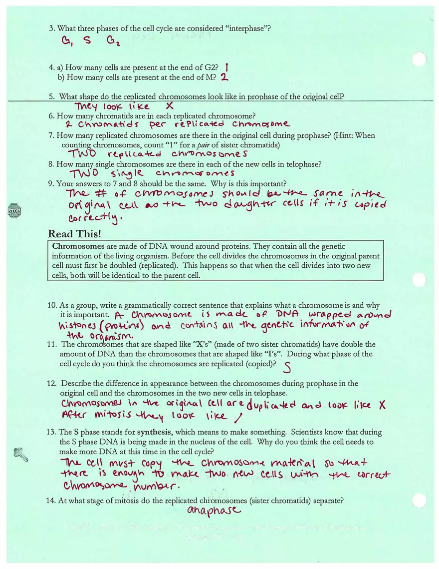 How do Living Things Grow and Repair Themselves - Mitosis - Page 2