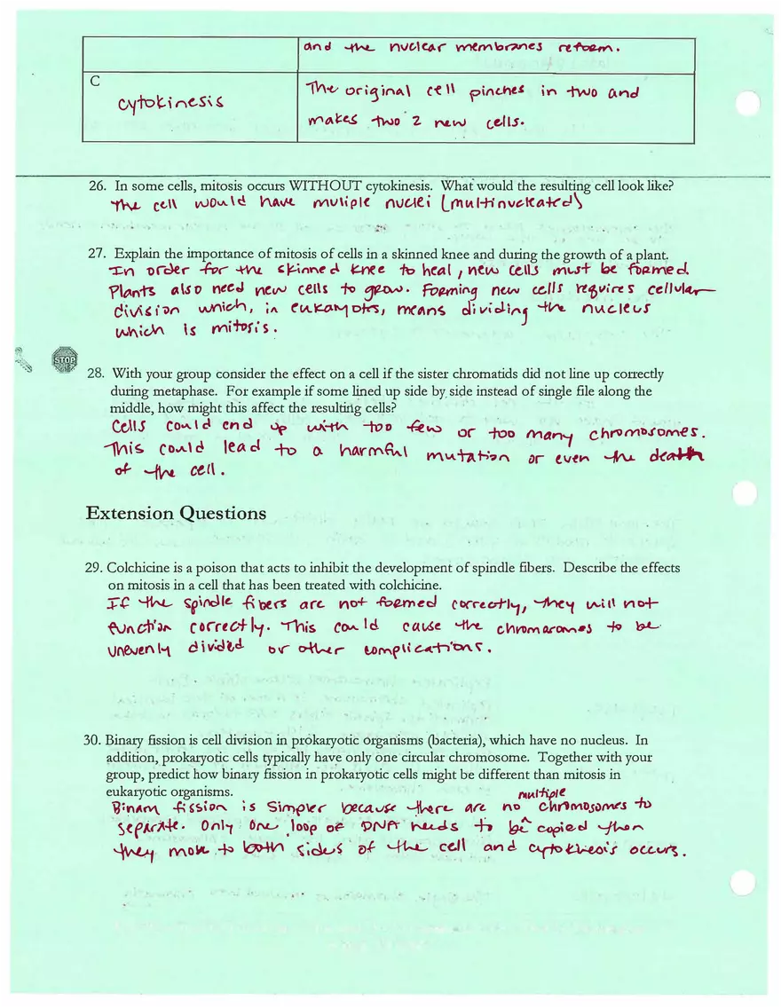 How do Living Things Grow and Repair Themselves - Mitosis - Page 4