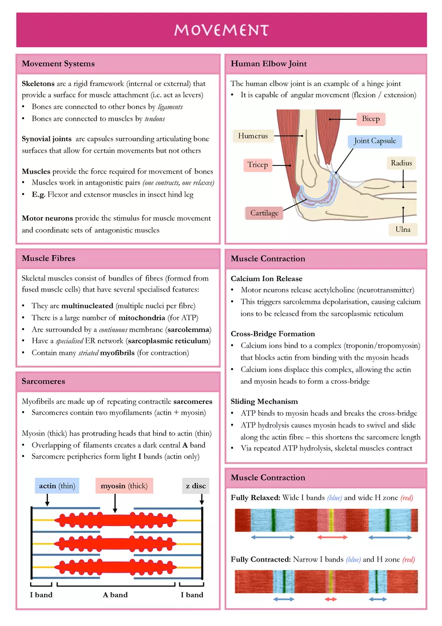Movement - Lecture 1 - Page 1