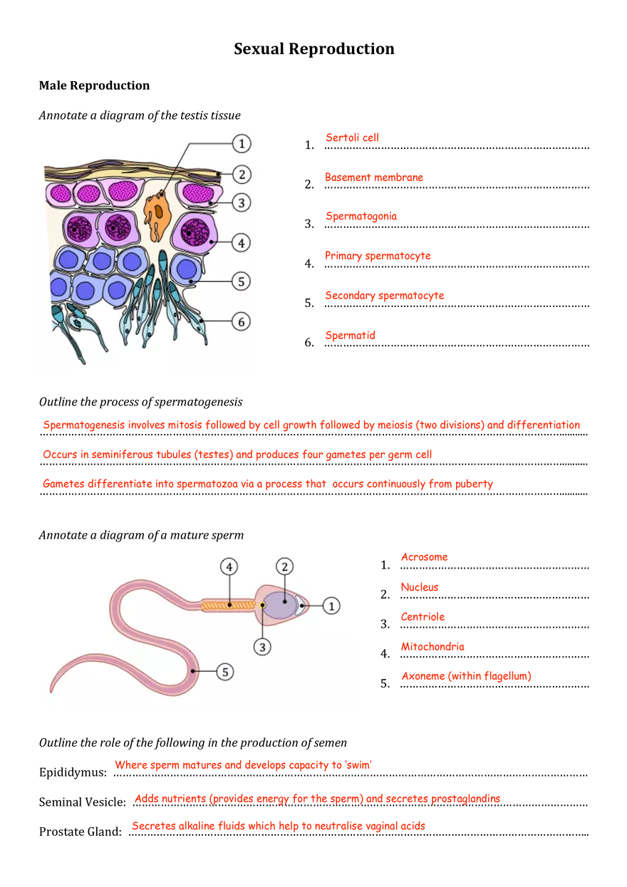 Sexual Reproduction - Page 1