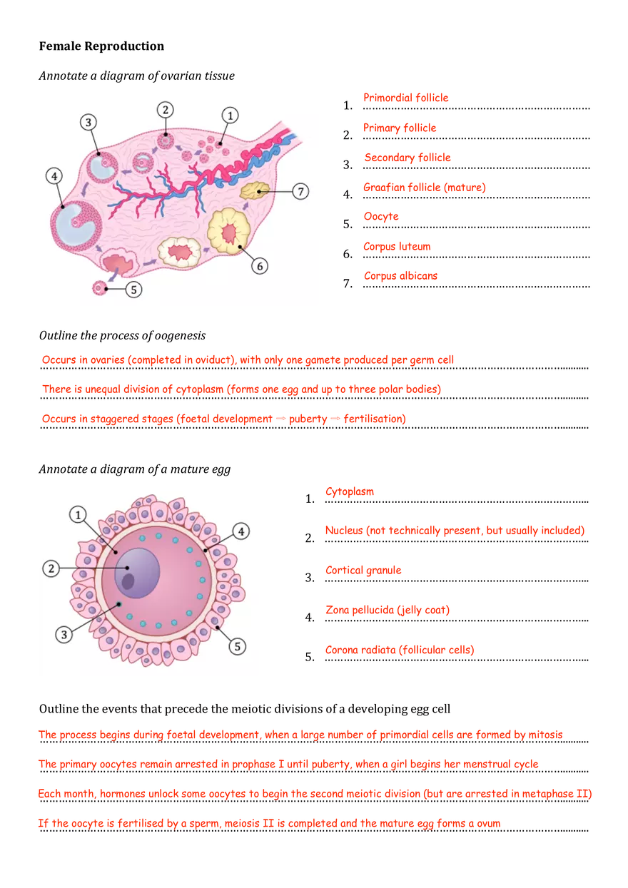 Sexual Reproduction - Page 2