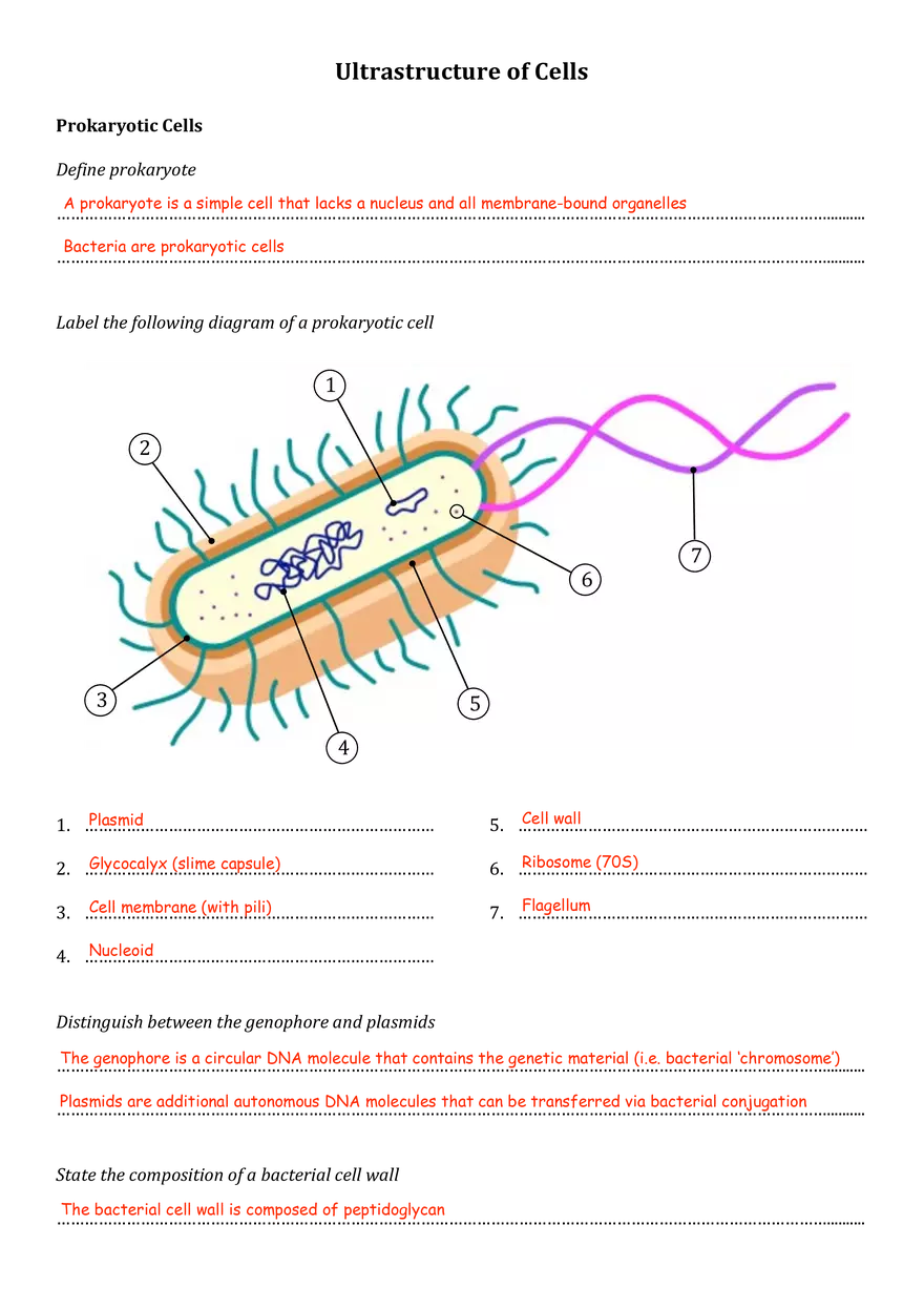 Ultrastructure of Cells - Page 1