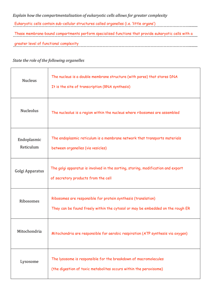 Ultrastructure of Cells - Page 3