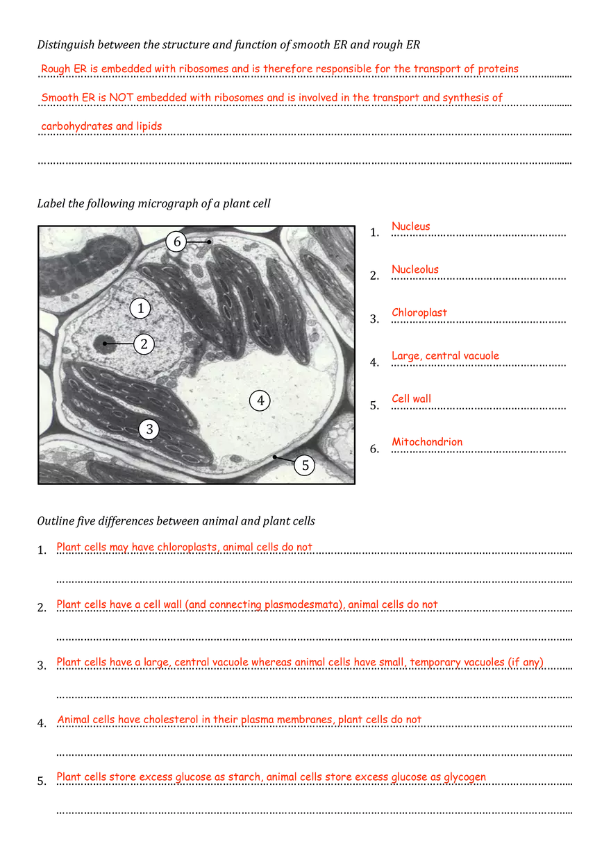 Ultrastructure of Cells - Page 4