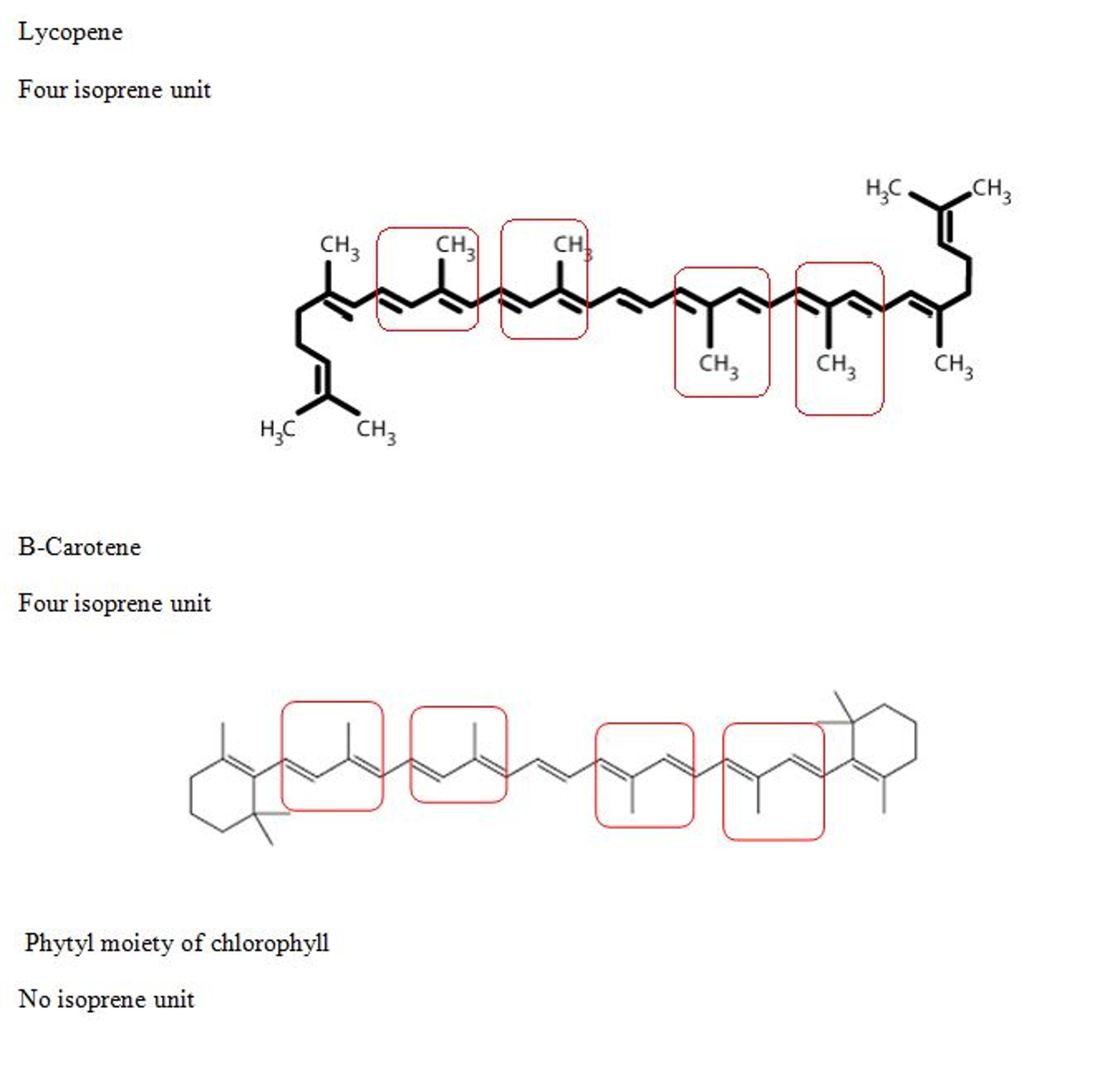 Circle the separate isoprene units in lycopene, Bcarotene,and the