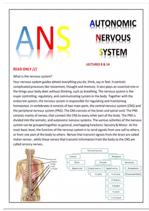 Autonomic Nervous System Lecture