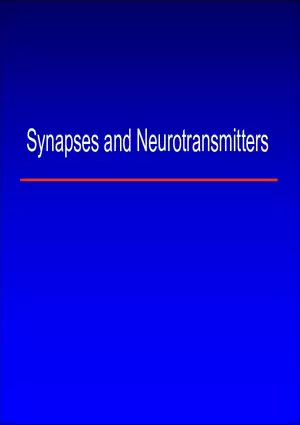 Synapses and Neurotransmitters