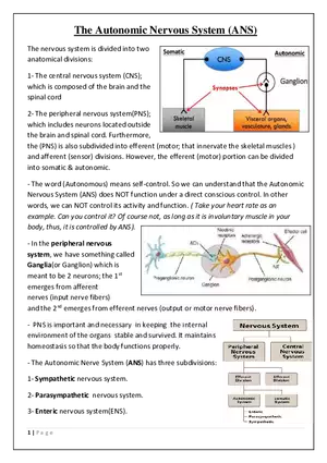The Autonomic Nervous System (ANS)