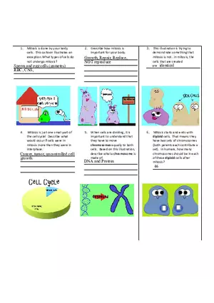 Mitosis 6 Answers