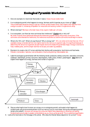 Ecological Pyramids Worksheet