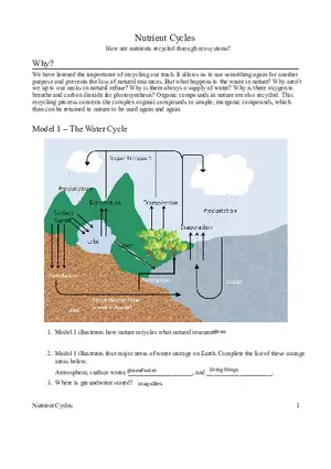 Nutrient Cycles